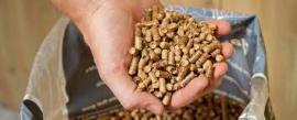 Topaklar Alaçam |  Odun, briketler | SCOPULUS Handels-und Dienstleistungs GmbH 