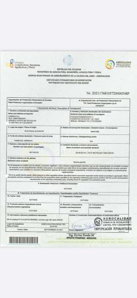 Tik Doğramacılık kerestesi |  Tropik ahşap | Kereste | SOFT IT SP .ZO.O SPÓŁKA Z OGRANICZONĄ ODPO
