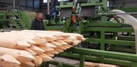 Diğer ekipman Kompletn výroní Linka kulů . | Bıçkı makinesi | Ahşap işçiliği makineleri | Drekos Made s.r.o