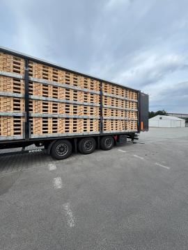 Paletler Tek kullanımlık paletler | Paketleme, paletler | Woodproo s.r.o.