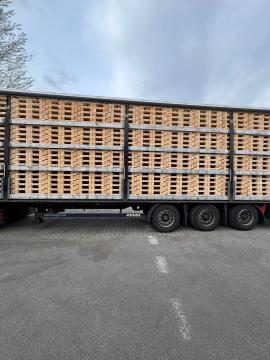 Paletler Tek kullanımlık paletler | Paketleme, paletler | Woodproo s.r.o.
