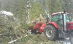Diğer ekipman Eschelbock Bieber 70, Case 255 |  Orman makineleri | Ahşap işçiliği makineleri | ŠULEK FOREST, s. r. o.