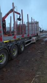 Kütük treyleri 02.03.2019 - 01.04.2019 |  Taşıma & nakliye | MT Transport a logistika