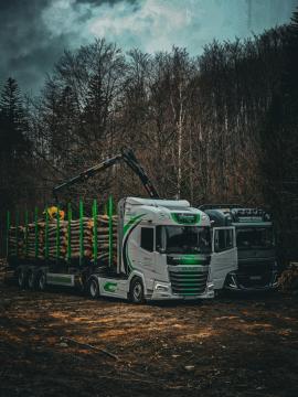 Kütük treyleri 16.01.2025 - 31.12.2025