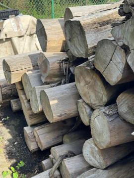 Tik Kesilmiş kütükler |  Tropik ahşap | Kütükler | SOFT IT SP .ZO.O SPÓŁKA Z OGRANICZONĄ ODPO